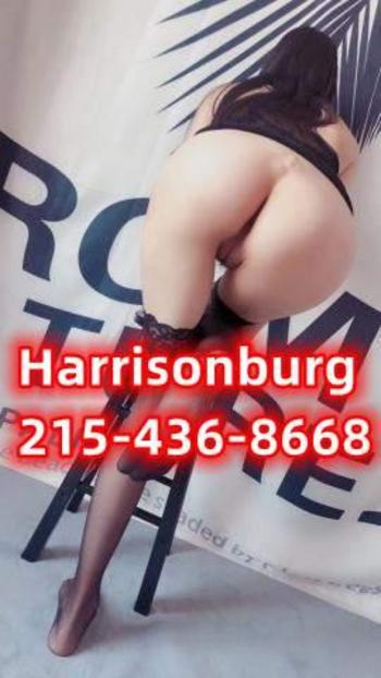 2154368668, female escort, Harrisonburg